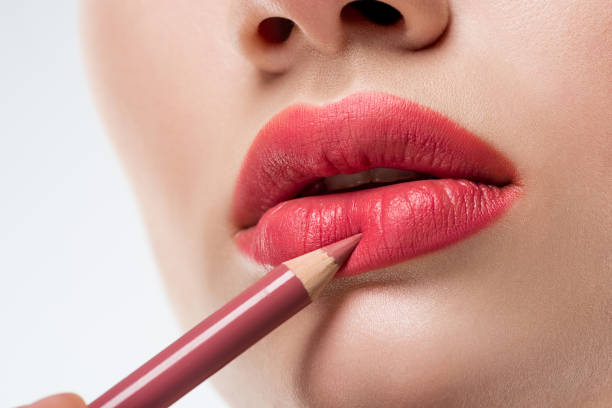 Max Factor High Definition Lipliner and Lipstick Brush,